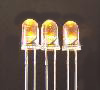 Ӧ5MM׷Ƹȷ